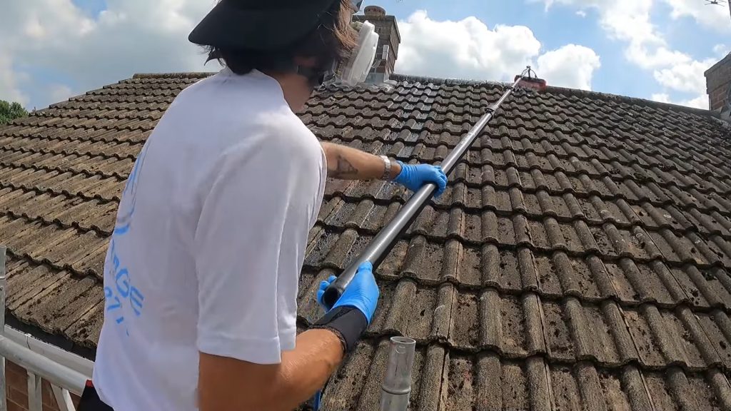 roof cleaning